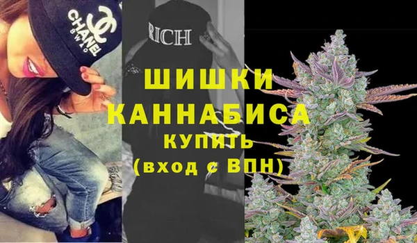 винт Аркадак