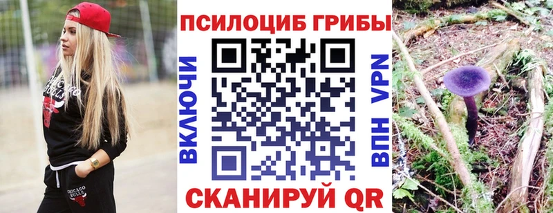 Псилоцибиновые грибы Psilocybe  KRAKEN ONION  Белогорск  где продают  